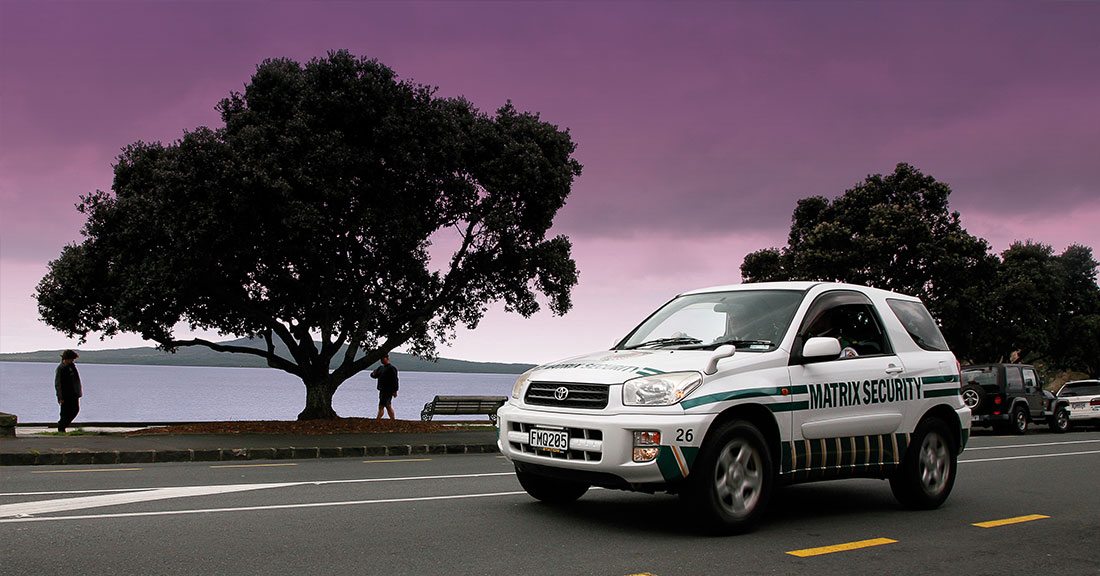 Security Auckland Alarm Systems NZ Matrix Security